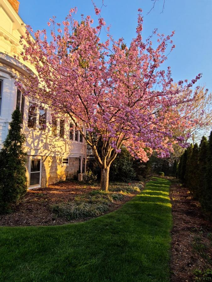 アシュビル アルバマール アッシュビル Bed & Breakfast エクステリア 写真